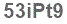 The text to enter in the texbox below is: 53iPt9