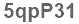 The text to enter in the texbox below is: 5qpP31