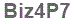 The text to enter in the texbox below is: Biz4P7
