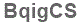 The text to enter in the texbox below is: BqigCS