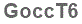 The text to enter in the texbox below is: GoccT6