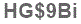 The text to enter in the texbox below is: HG$9Bi