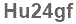 The text to enter in the texbox below is: Hu24gf
