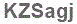 The text to enter in the texbox below is: KZSagj