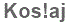 The text to enter in the texbox below is: Kos!aj