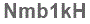 The text to enter in the texbox below is: Nmb1kH