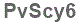 The text to enter in the texbox below is: PvScy6
