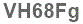The text to enter in the texbox below is: VH68Fg