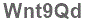 The text to enter in the texbox below is: Wnt9Qd