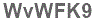 The text to enter in the texbox below is: WvWFK9