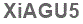 The text to enter in the texbox below is: XiAGU5