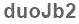 The text to enter in the texbox below is: duoJb2