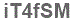 The text to enter in the texbox below is: iT4fSM