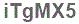 The text to enter in the texbox below is: iTgMX5