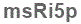 The text to enter in the texbox below is: msRi5p
