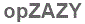 The text to enter in the texbox below is: opZAZY