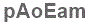 The text to enter in the texbox below is: pAoEam