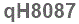 The text to enter in the texbox below is: qH8087