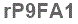 The text to enter in the texbox below is: rP9FA1