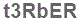 The text to enter in the texbox below is: t3RbER