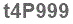 The text to enter in the texbox below is: t4P999