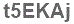 The text to enter in the texbox below is: t5EKAj