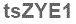The text to enter in the texbox below is: tsZYE1