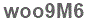 The text to enter in the texbox below is: woo9M6